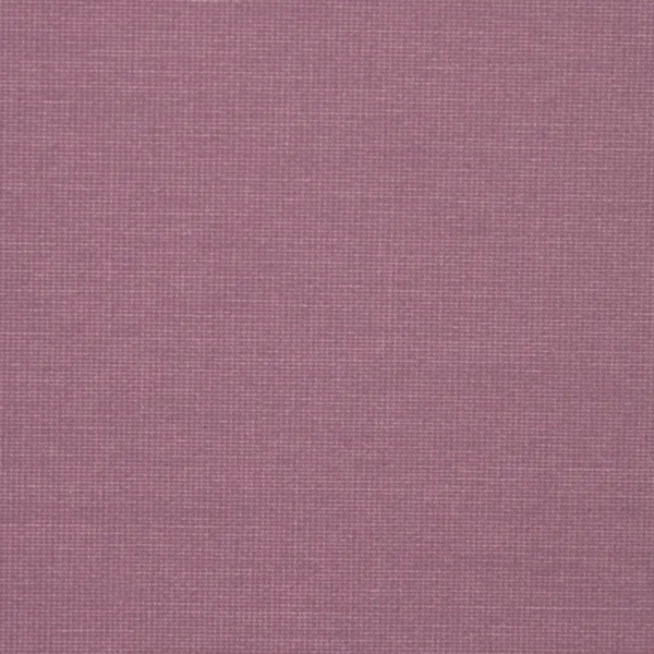 violet 250